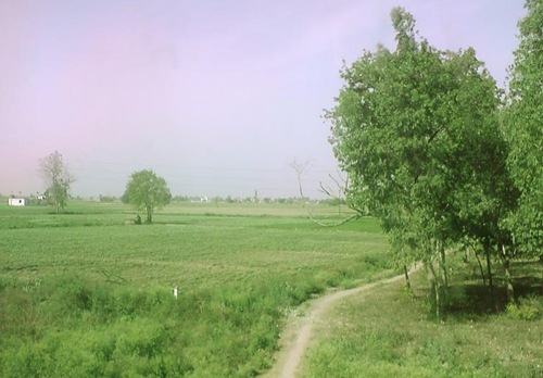aky-tour-to-satnaur-punjab
