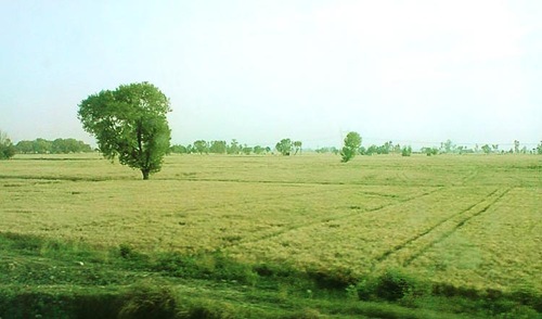 aky-tour-to-satnaur-village